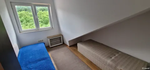 Kuća sa tri zasebna stana i poslovnim prostorom