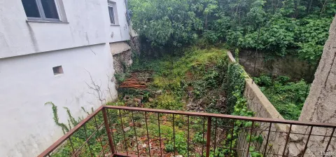 Kuća sa tri zasebna stana i poslovnim prostorom
