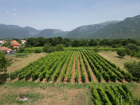 Zemljište za ranč, turizam ili investicija za budućnost