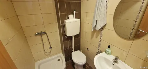 Kuća sa tri zasebna stana i poslovnim prostorom