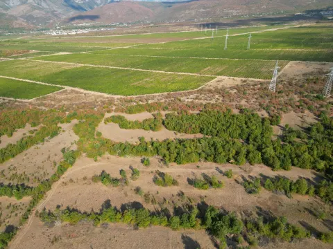 Zemljište od 13667m2 - Željuša/Humilišani 2