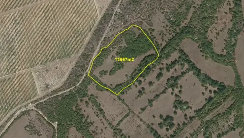 Zemljište od 13667m2 - Željuša/Humilišani 5